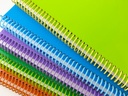 Espirales PVC para Encuadernación A4 - 17 mm (Colores Surtidos)