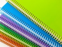 Espirales PVC para Encuadernación A4 - 12 mm (Colores Surtidos)